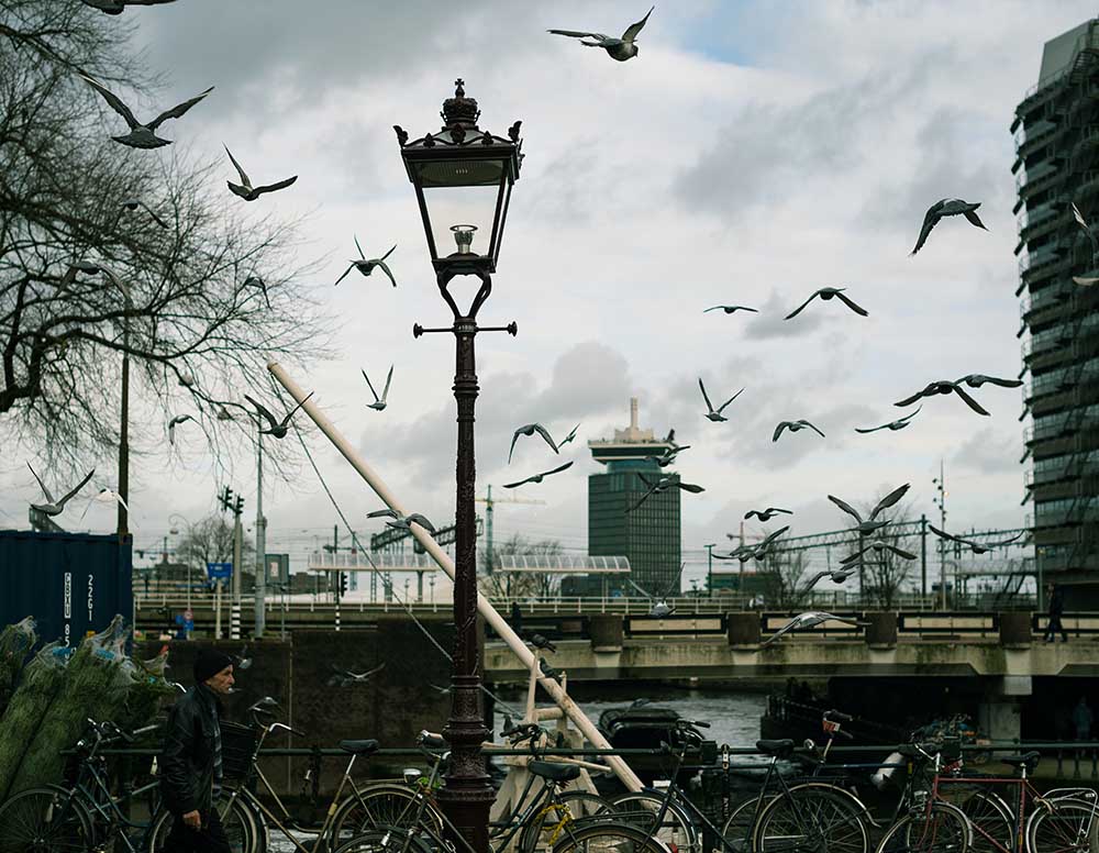 Uitzicht-op-A'Dam-toren-in-Amsterdam-Noord