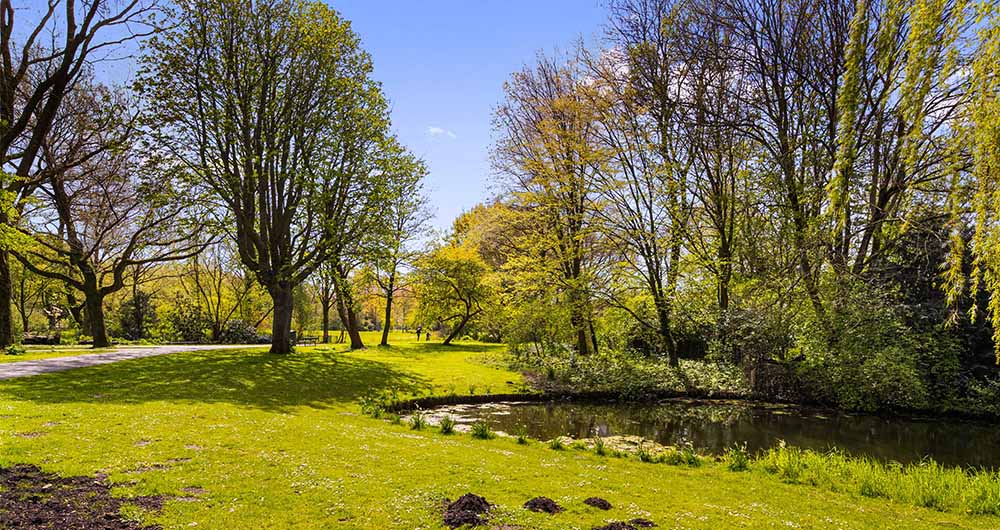 De-groene-ruimtes-in-Amsterdam-Noord