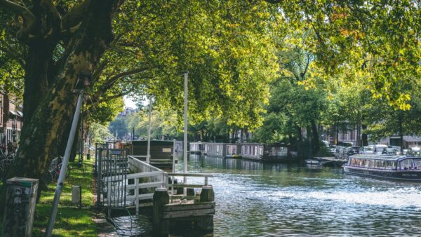 Houses by the canal In summer in Amsterdam